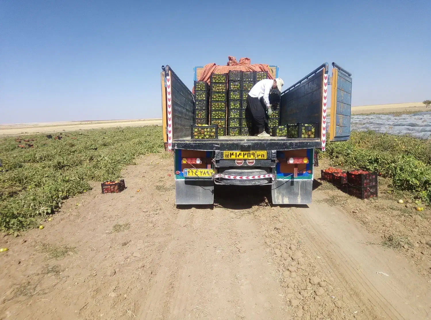 حمل بار با خاور|خدمات حمل و نقل|کبودرآهنگ, |دیوار