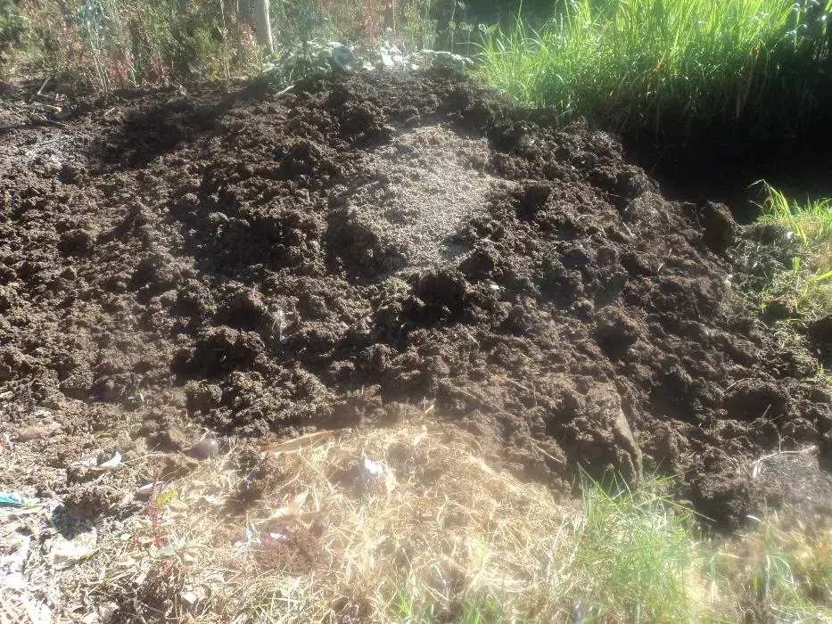 کودحیوانی سیاه و پودری درجه یک|خدمات باغبانی و درختکاری|صومعهسرا, |دیوار