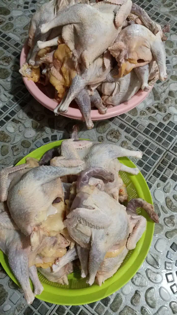 فروش مروغ محلی|حیوانات مزرعه|رامهرمز, |دیوار