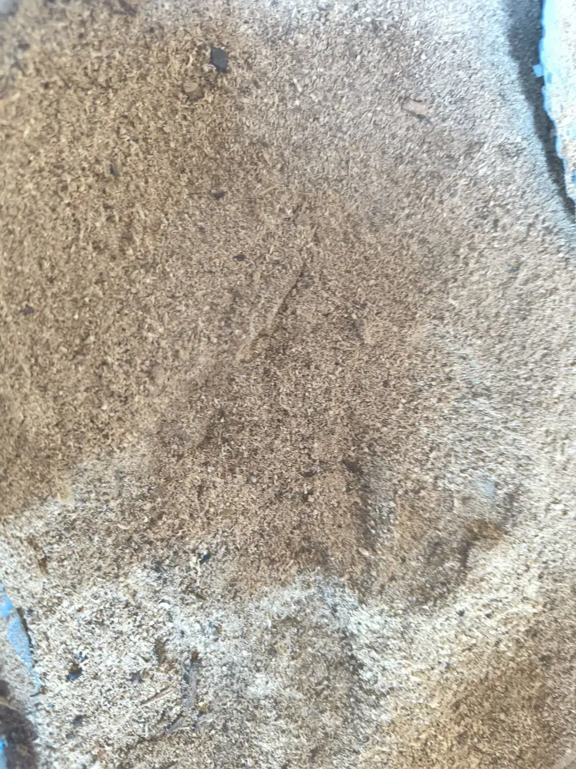 خریدار خاک اره هستم|خدمات پیشه و مهارت|فاضل آباد, |دیوار