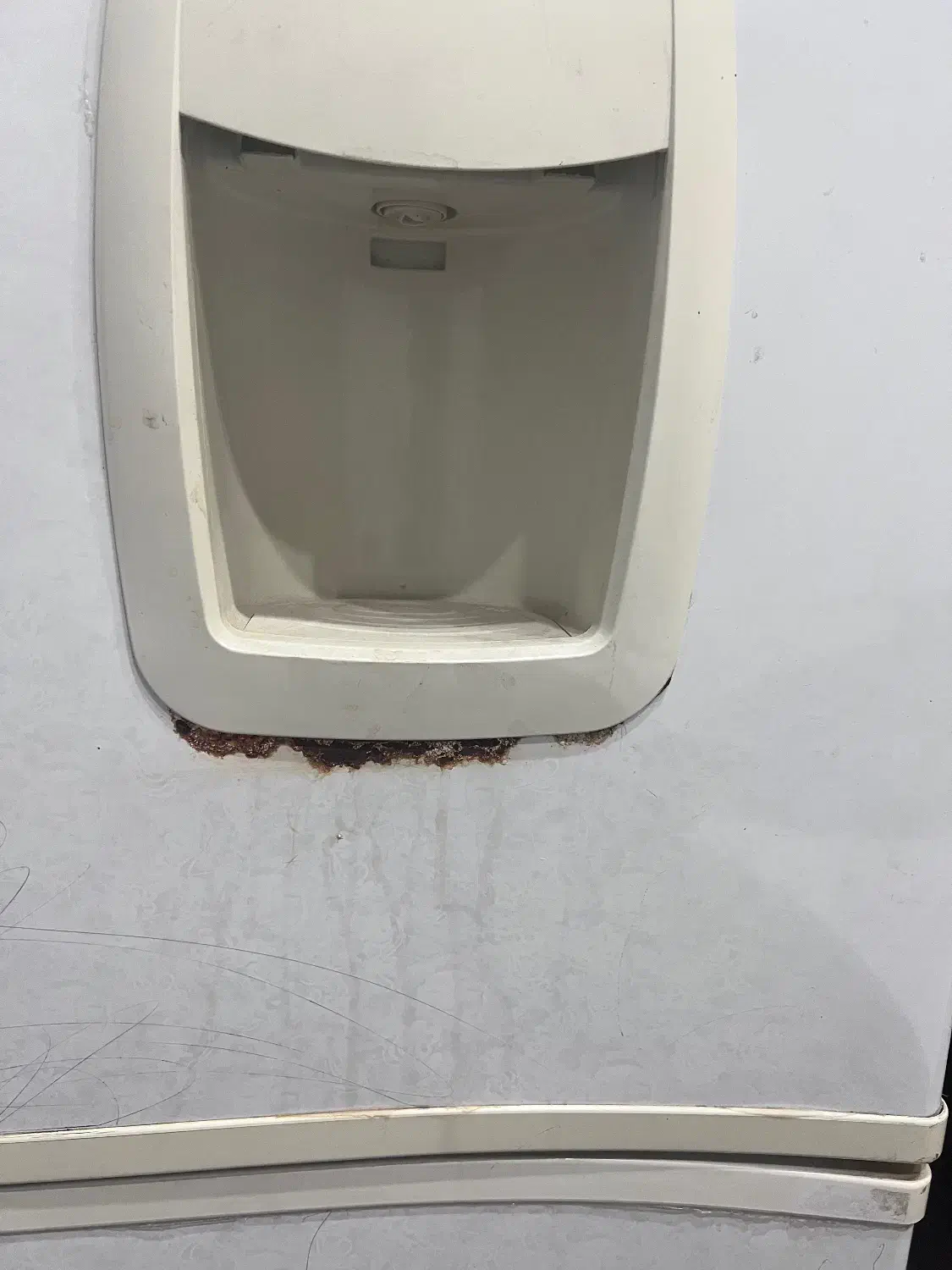 یخچال سالم|یخچال و فریزر|مشهد, سمزقند|دیوار