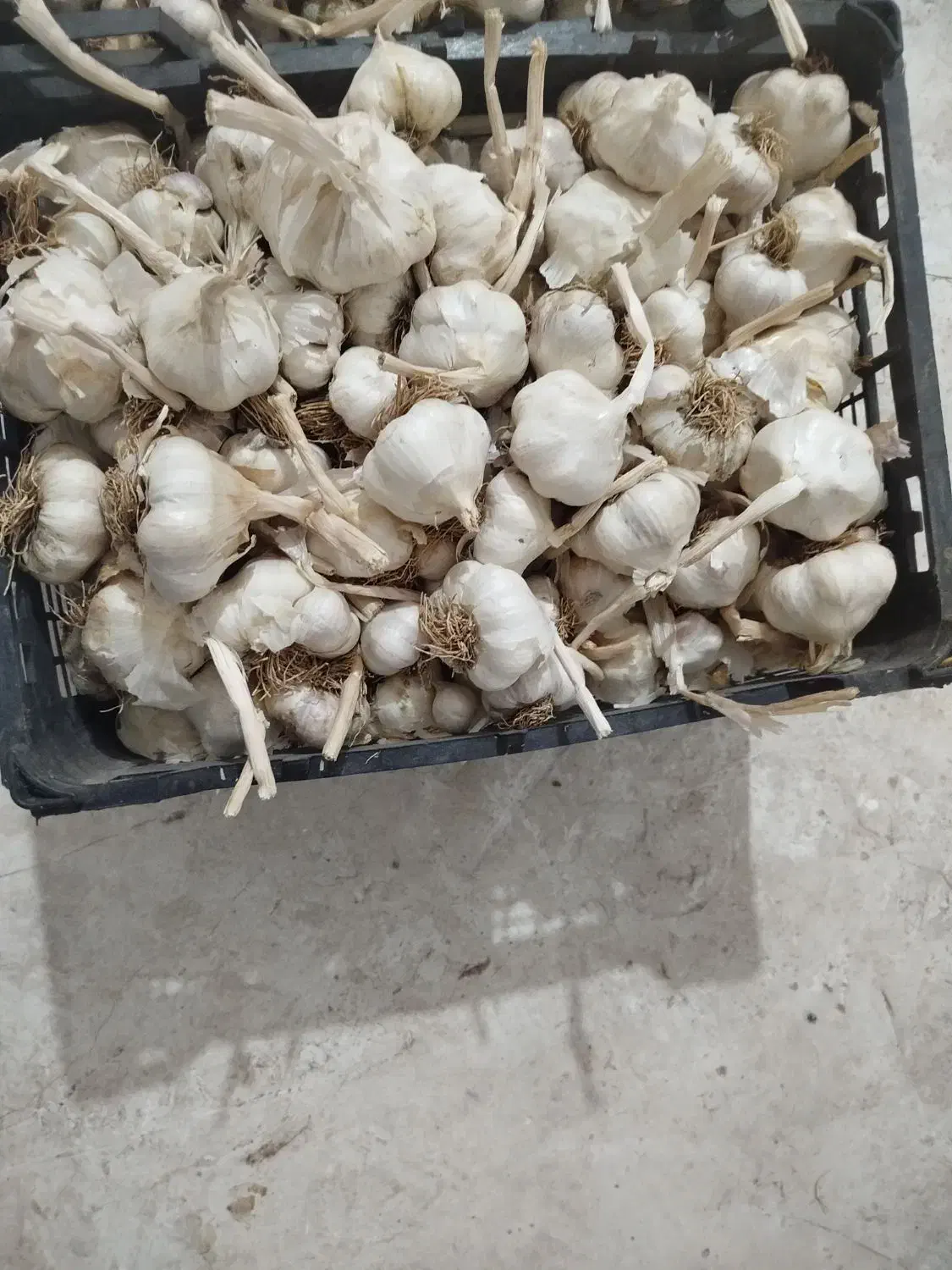 سیر همدان|خوردنی و آشامیدنی|اقبالیه, |دیوار