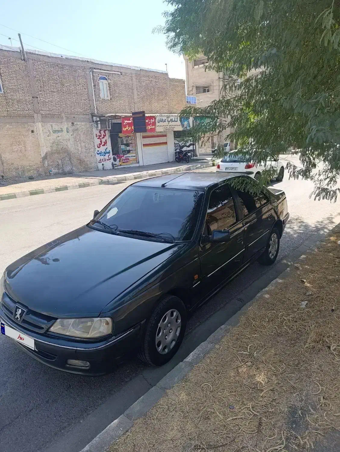 پژو پارس مدل ۸۱شاسی سالم فرانسوی|خودرو سواری و وانت|شوشتر, |دیوار