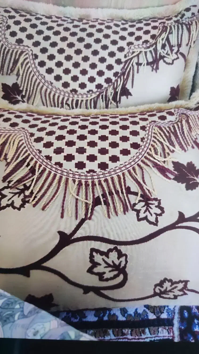 بالشت شاه نشین|رختخواب، بالش، پتو|شیراز, یخ سازی|دیوار