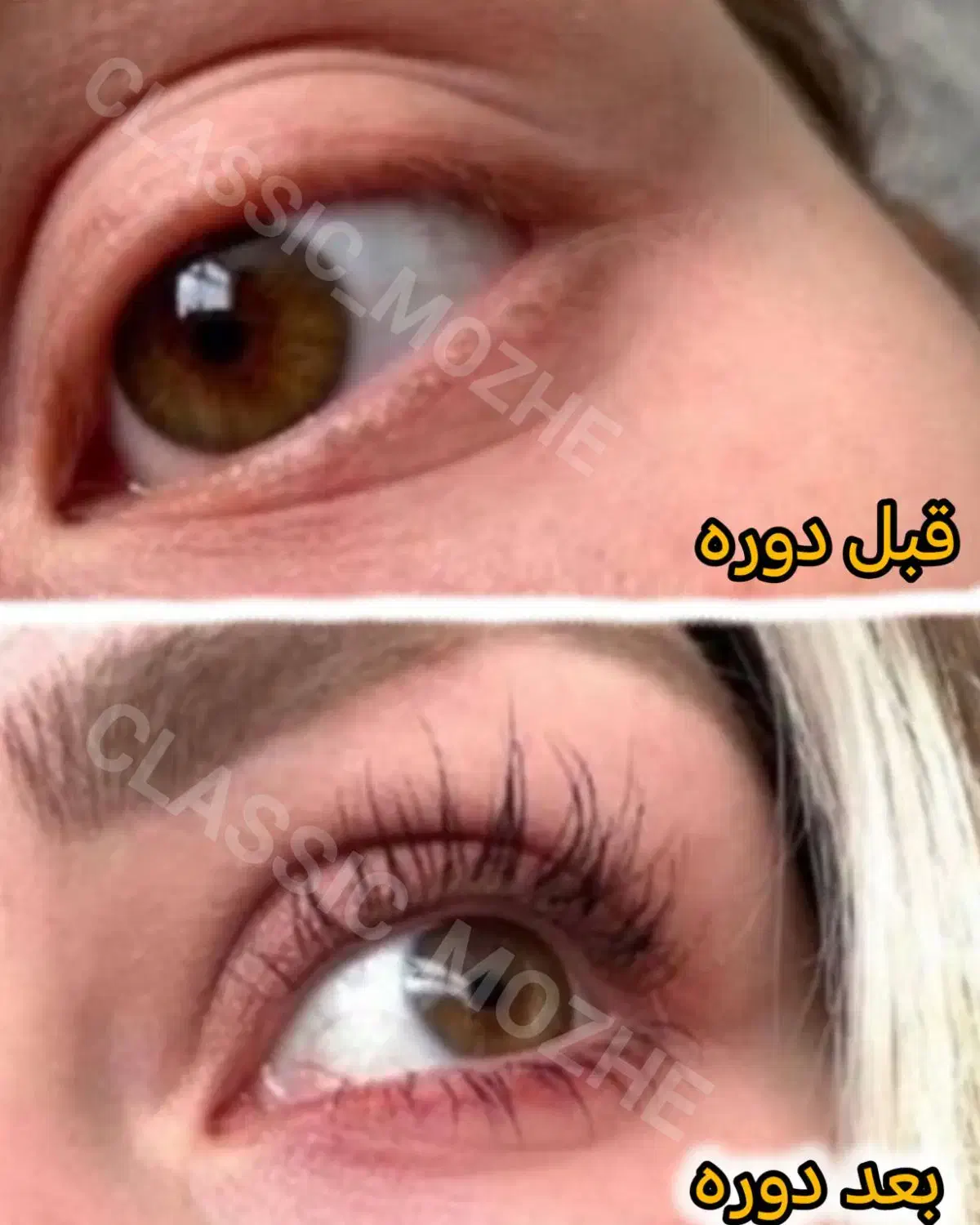 مژه ها و ابروهات رو تقویت و زیبا کن|خدمات آرایشگری و زیبایی|اهواز, گلستان|دیوار