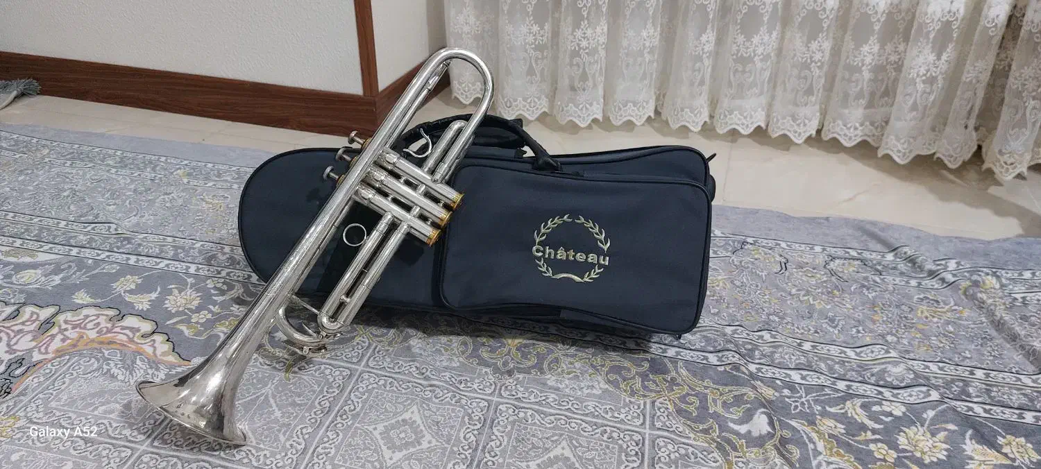 ترومپت|سازهای بادی|شاهین‌شهر, شهرک گلدیس|دیوار