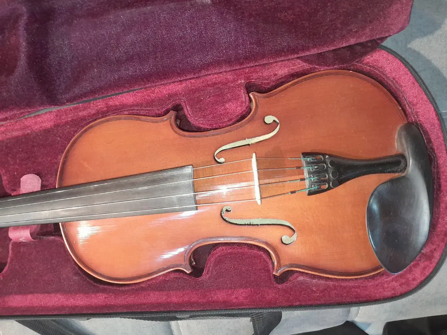 ویولن هافنر AS-060-V اصلی آلمانی|ویولن|ملارد, |دیوار