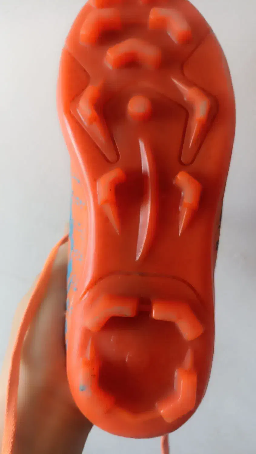 کفش|کیف، کفش، کمربند|نیشابور, گنبد سبز|دیوار