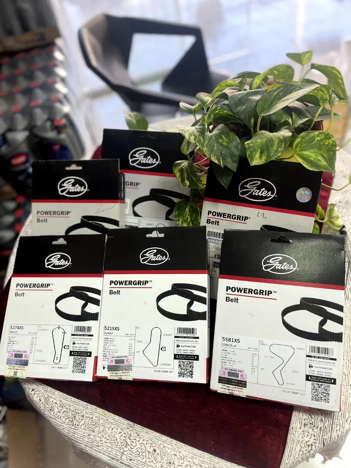 تسمه تایم کیت تایم و تسمه دینام پاورگریپ اصلی|قطعات یدکی و لوازم جانبی|شیراز, ریشمک|دیوار