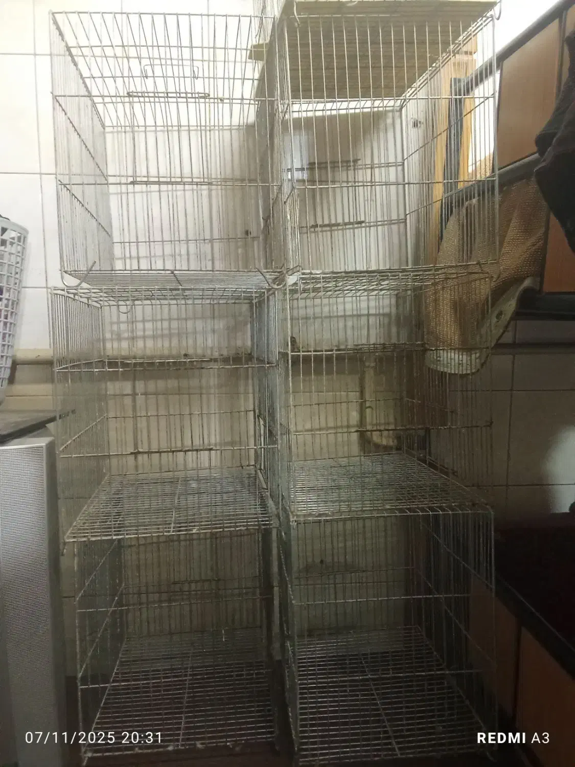 سبد پرنده|لوازم جانبی حیوانات|مشکین‌دشت, |دیوار