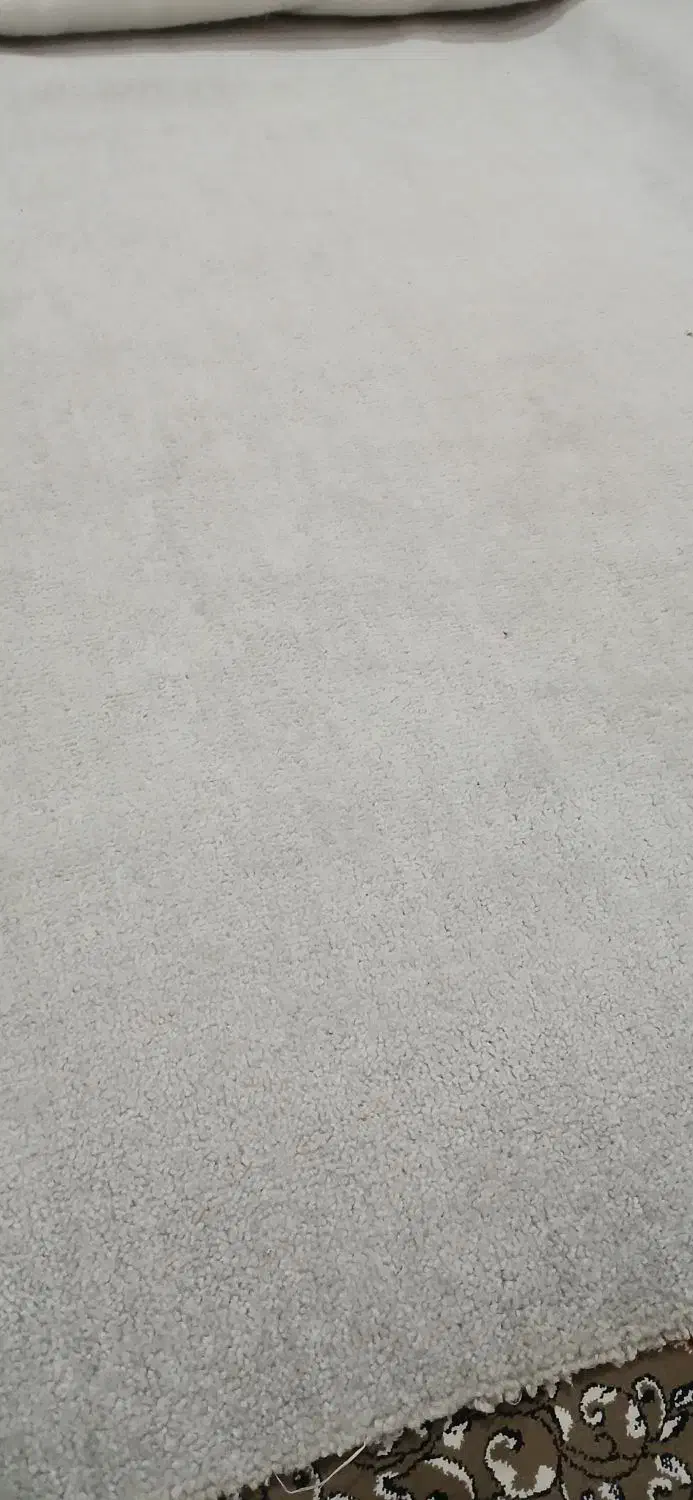 موکت پلاز|موکت|کارون, |دیوار