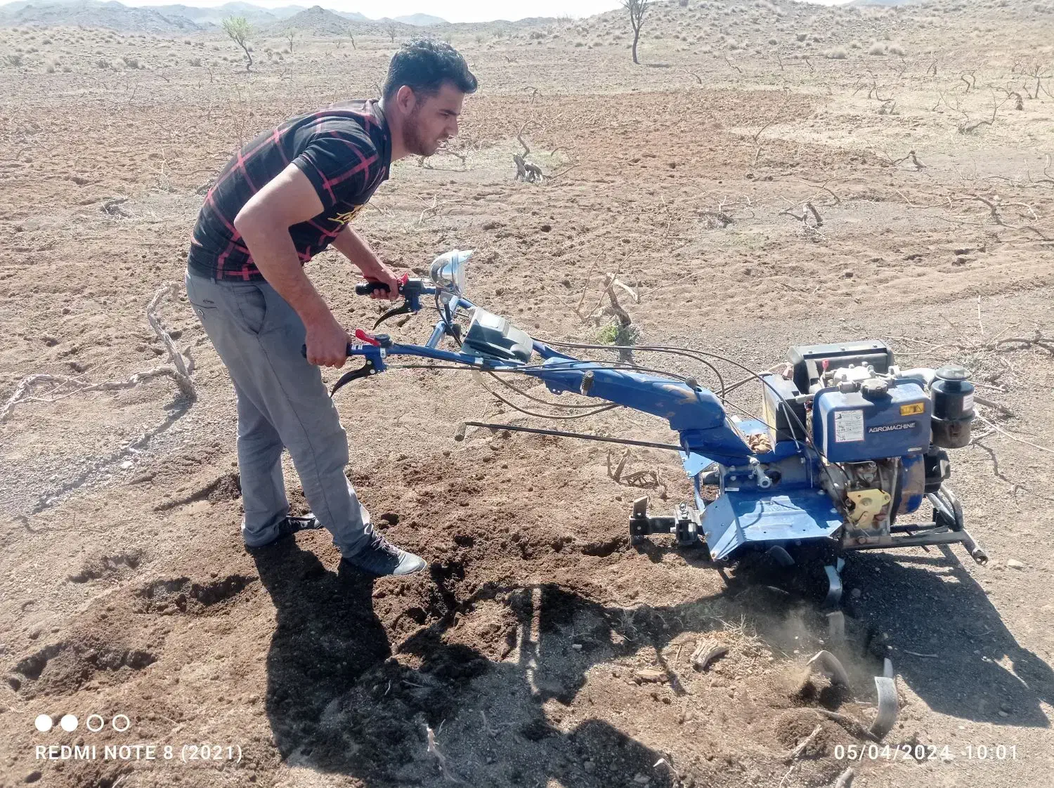 باغبانی سمپاشی تیلرزدن گلکاری کود دهی در تمام نقاط|خدمات باغبانی و درختکاری|مشهد, وکیل‌آباد|دیوار