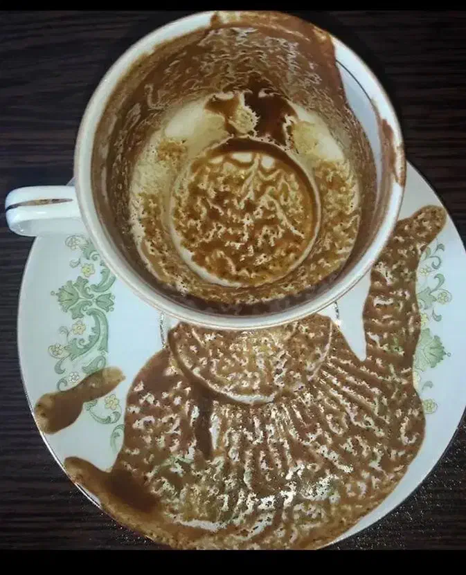 فال صبا|خدمات پذیرایی، مراسم|ارومیه, |دیوار