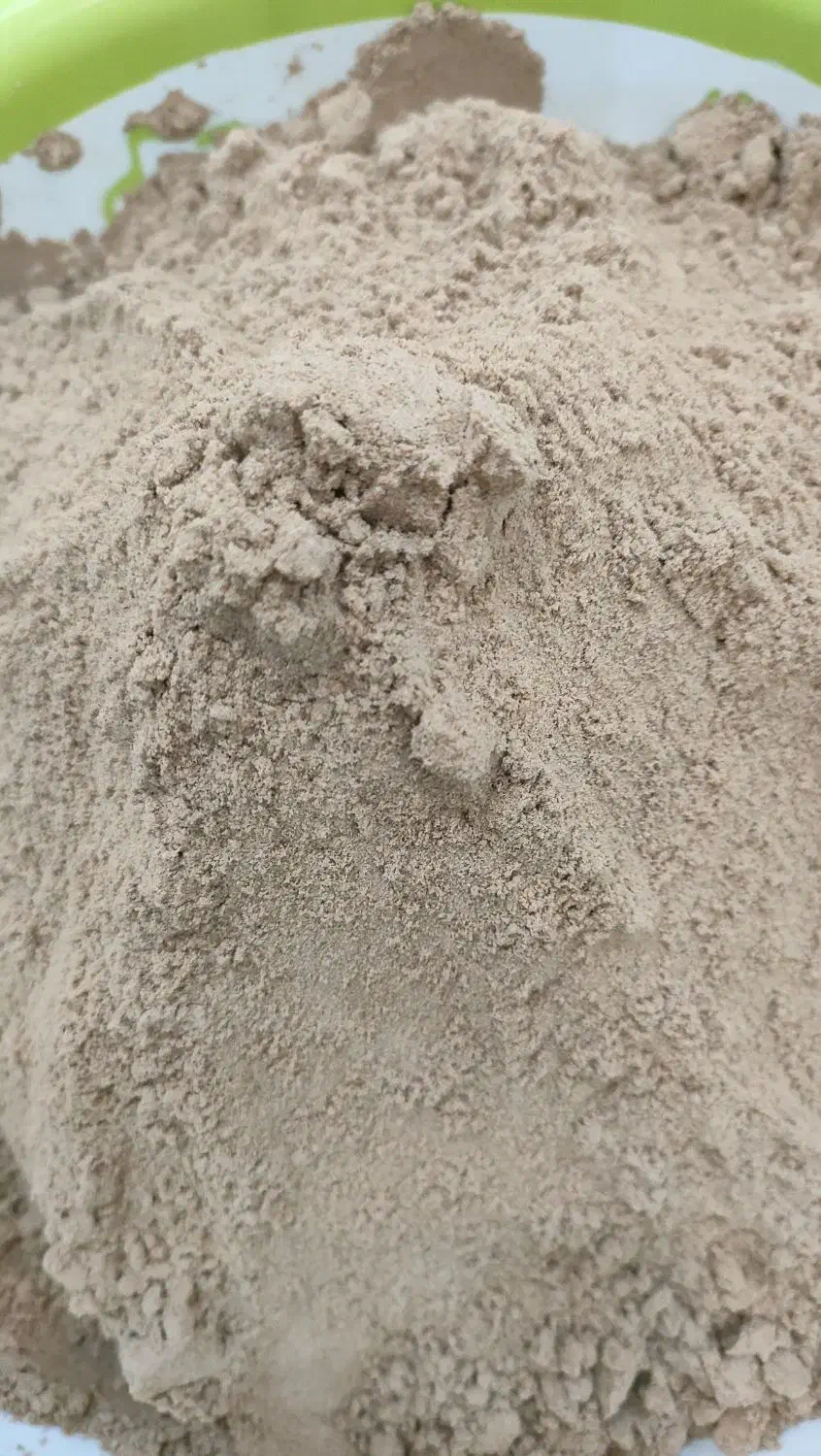 قوتو چهل گیاه خانگی|خوردنی و آشامیدنی|سیرجان, |دیوار