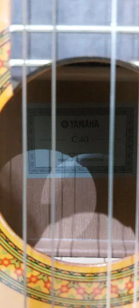 گیتار|گیتار، بیس، امپلیفایر|دزفول, |دیوار