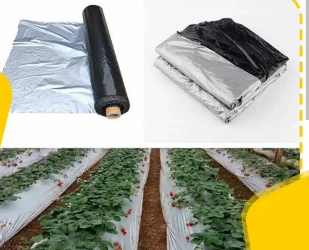 نایلون کشاورزی و گروبگ|عمده‌فروشی|ساری, |دیوار