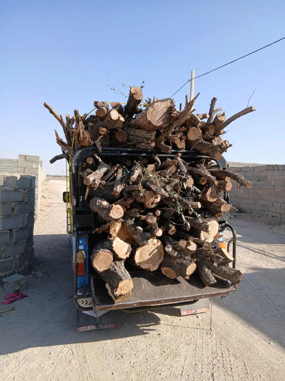 خرید انواع چوب|خدمات باغبانی و درختکاری|بهمن صغاد, |دیوار