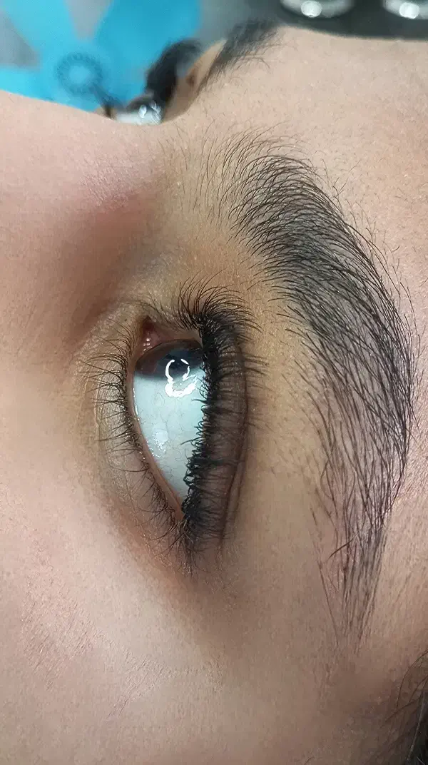 اکستنشتن اصولی مژه فقط((450))به مدت محدود|خدمات آرایشگری و زیبایی|اسلامشهر, شهرک مهدیه|دیوار