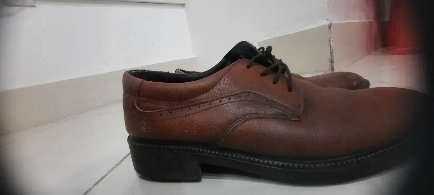 سایز ۴۴|کیف، کفش، کمربند|بیرجند, |دیوار