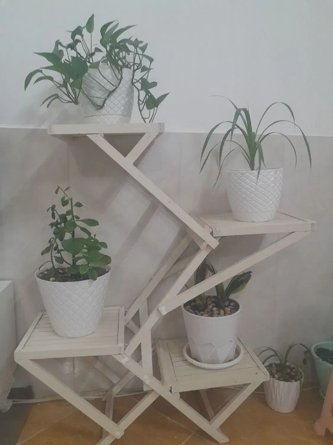 استند گل|گل و گیاه طبیعی|سبزوار, غرب نیروگاه|دیوار