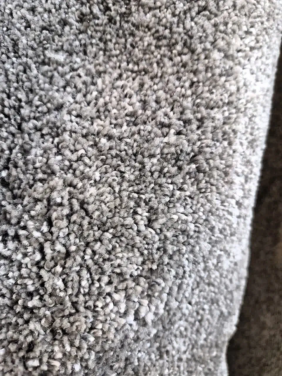 پالاز موکت پرزبلند مدل۲سانتی باران و سیدنی و الماس|موکت|قم, نیروگاه|دیوار