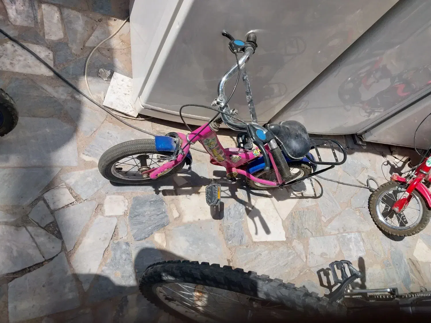 دوچرخه ۱۲|دوچرخه، اسکیت، اسکوتر|بیرجند, |دیوار