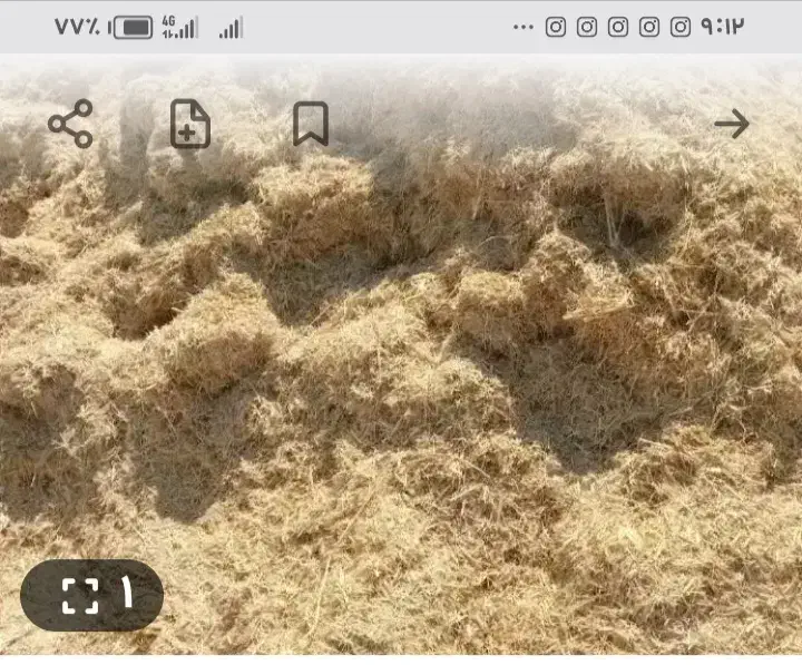 کاه. دیم|لوازم جانبی حیوانات|اصفهان, باغ نگاره|دیوار