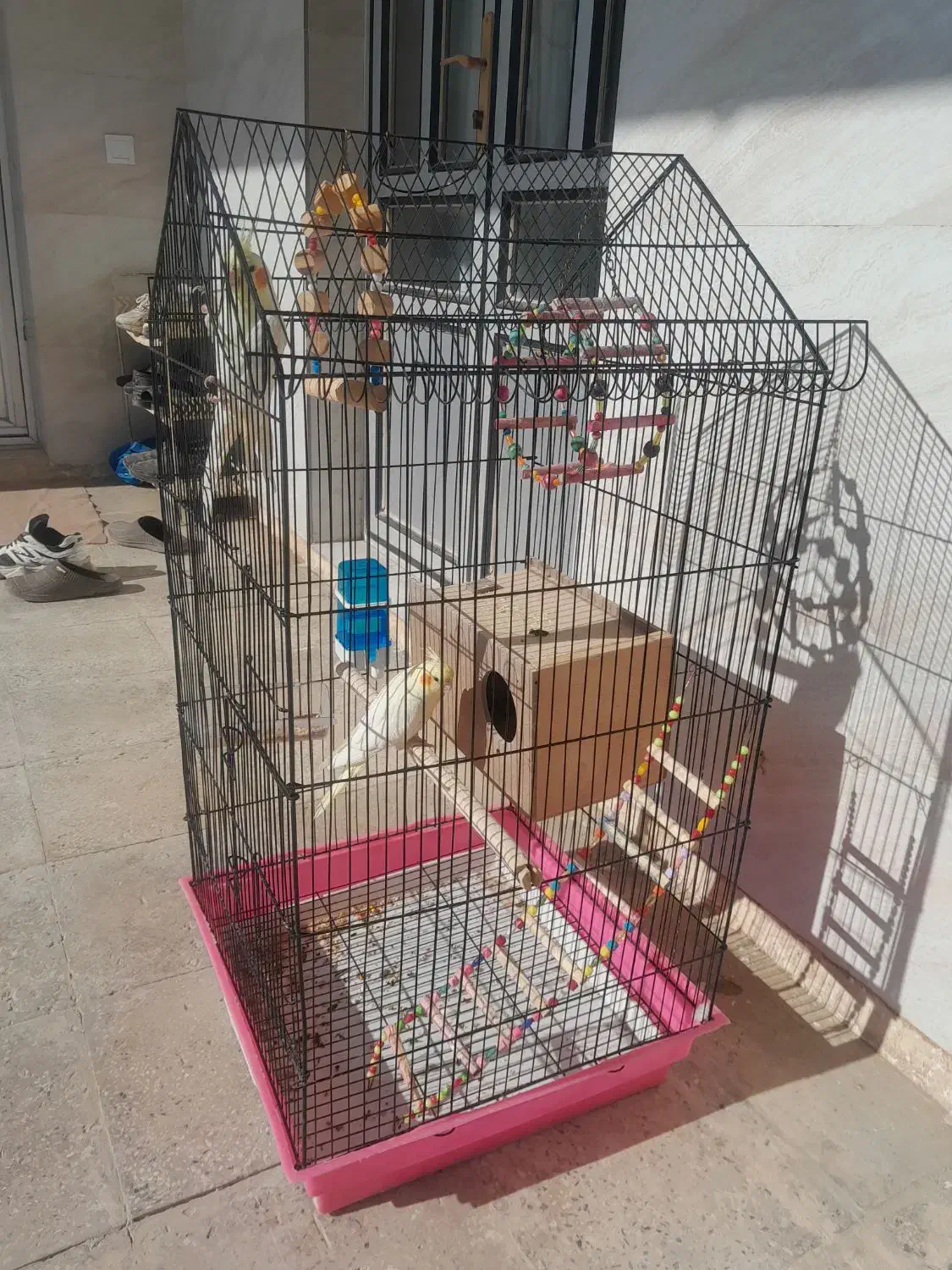 یه جفت عروس هلندی همراه قفس|پرنده|کبودرآهنگ, |دیوار