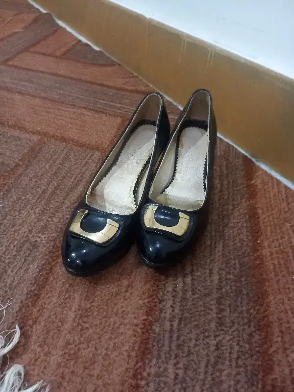 کفش مجلسی|کیف، کفش، کمربند|بروجرد, |دیوار