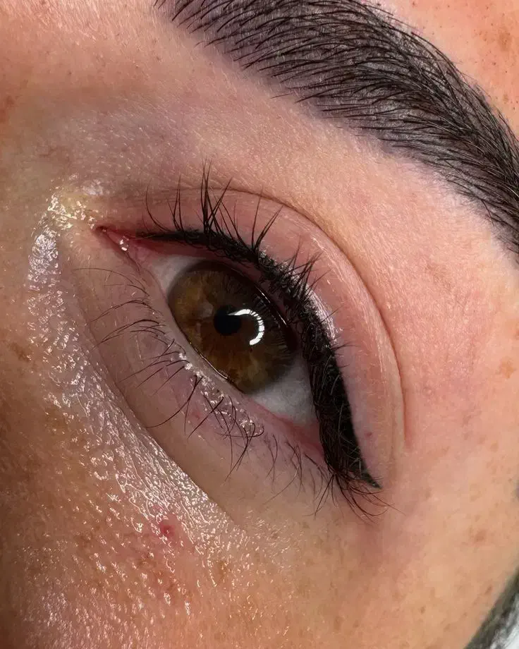 تخفیفات ویژه شب یلدا تعداد محدود|خدمات آرایشگری و زیبایی|تربت جام, میان جام|دیوار