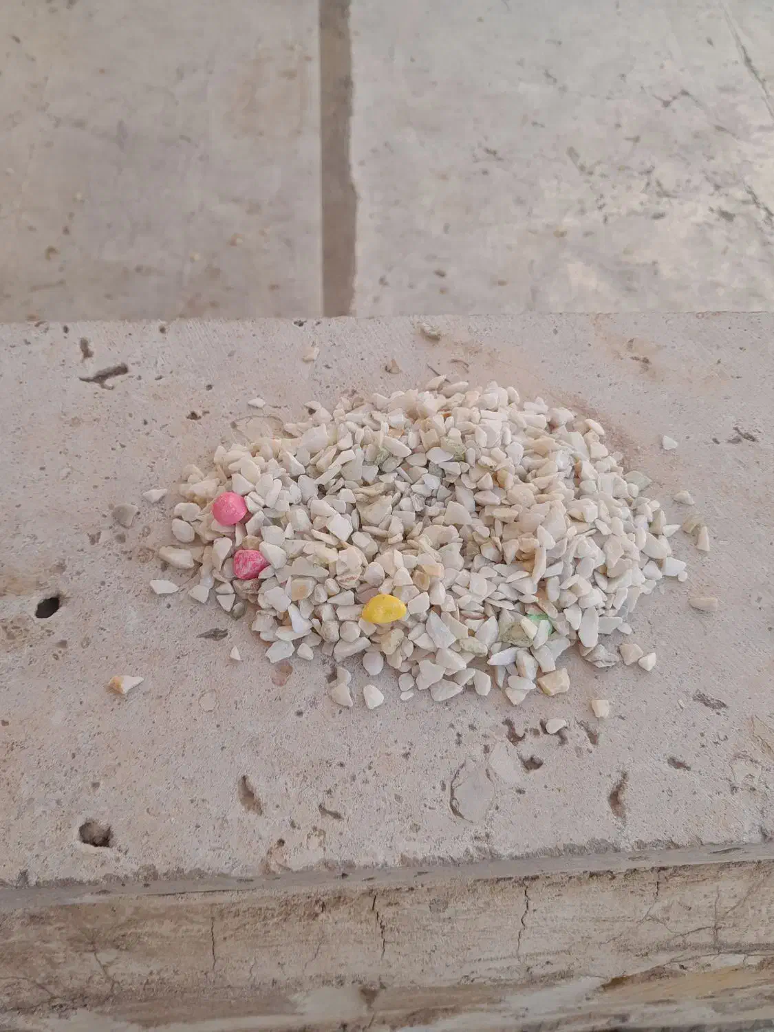 آکواریوم|ماهی|بوئین زهرا, |دیوار