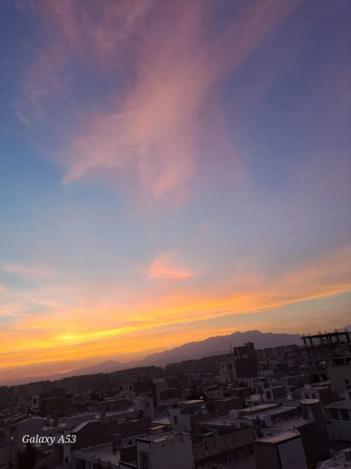 برنامه ملی گلد طلا|کارت هدیه و تخفیف|دامغان, |دیوار