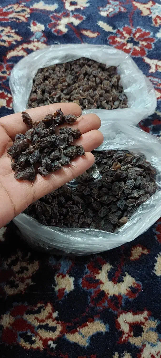 کشمش|عمدهفروشی|محمدیه-قزوین, |دیوار