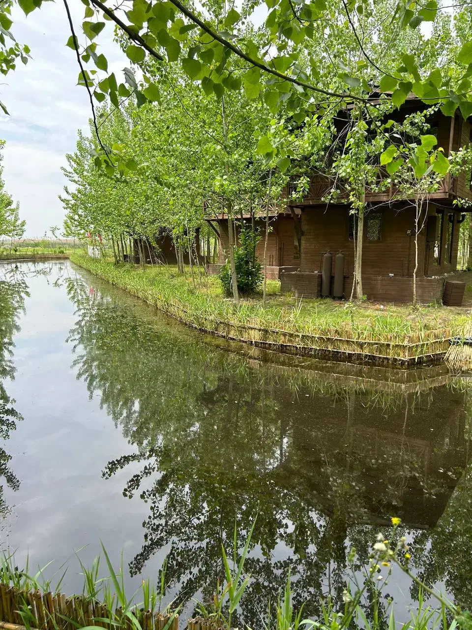ویلایی از جز به کلش قشنگه|فروش خانه و ویلا|محمدشهر, زیبادشت|دیوار