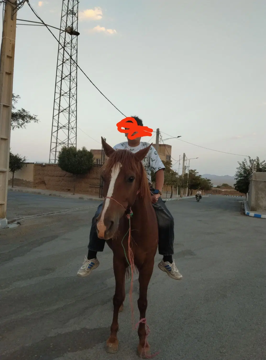09190649723|سیم‌کارت|اشتهارد, |دیوار