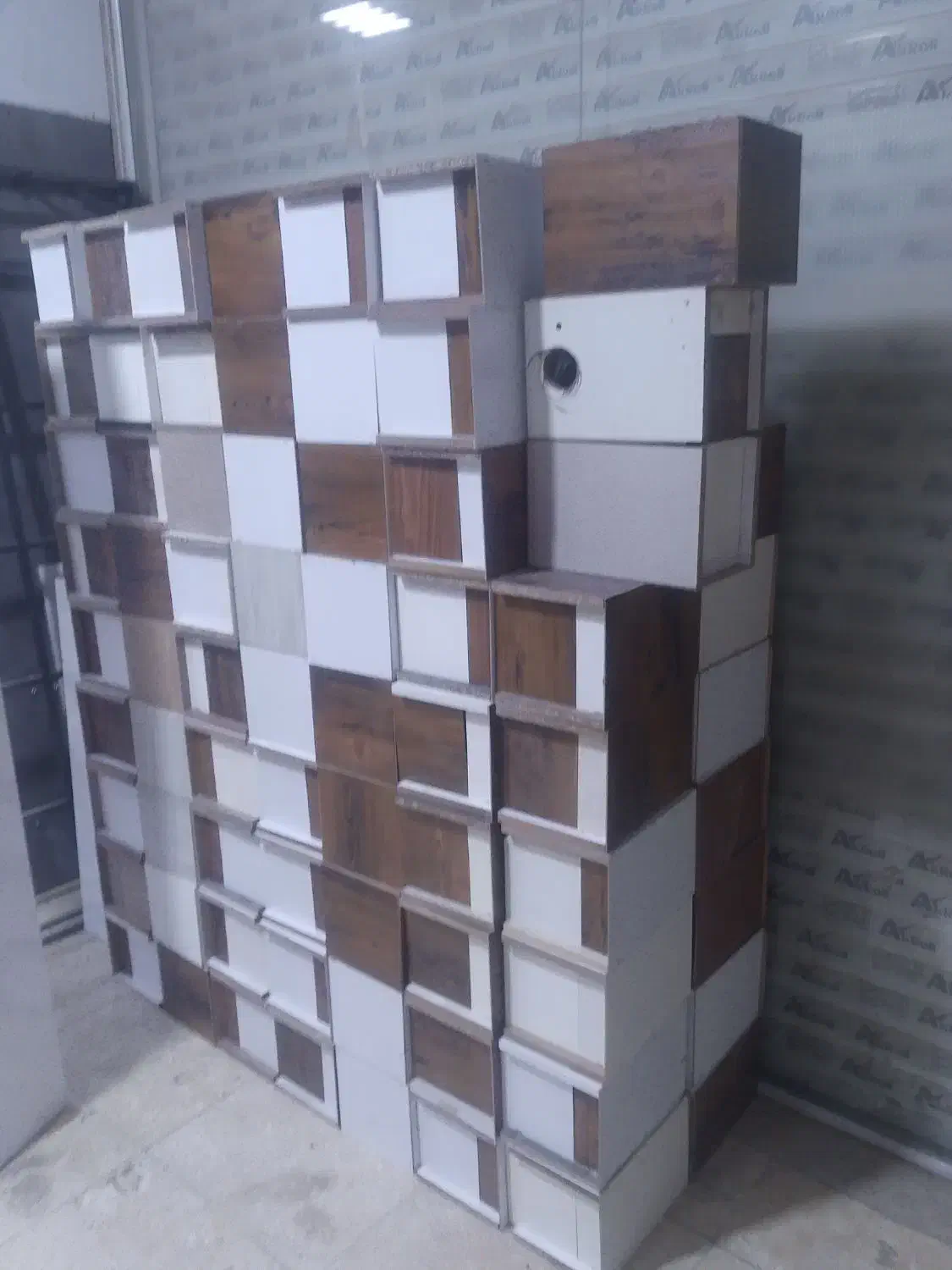 لونه پرنده عروس هلندی طوطی برزیلی طوطی..|لوازم جانبی حیوانات|نسیم‌شهر, |دیوار