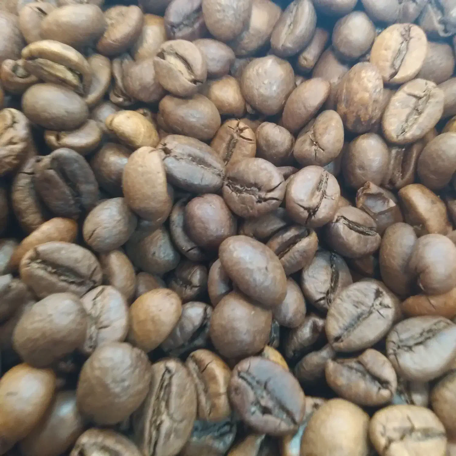 قهوه ویژه کارکنان شب کار (بانک قهوه)|خوردنی و آشامیدنی|رفسنجان, |دیوار