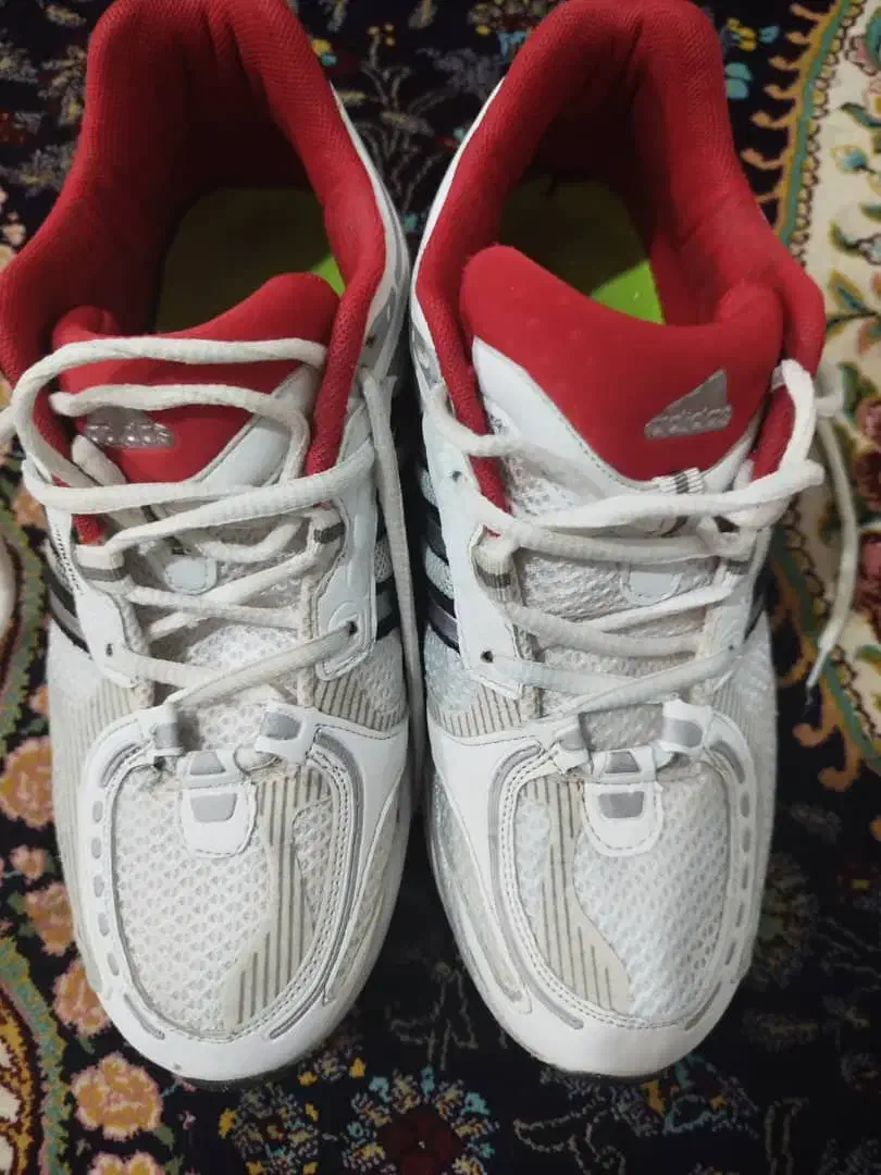 ادیداس فارماتونی اصل|کیف، کفش، کمربند|یاسوج, |دیوار