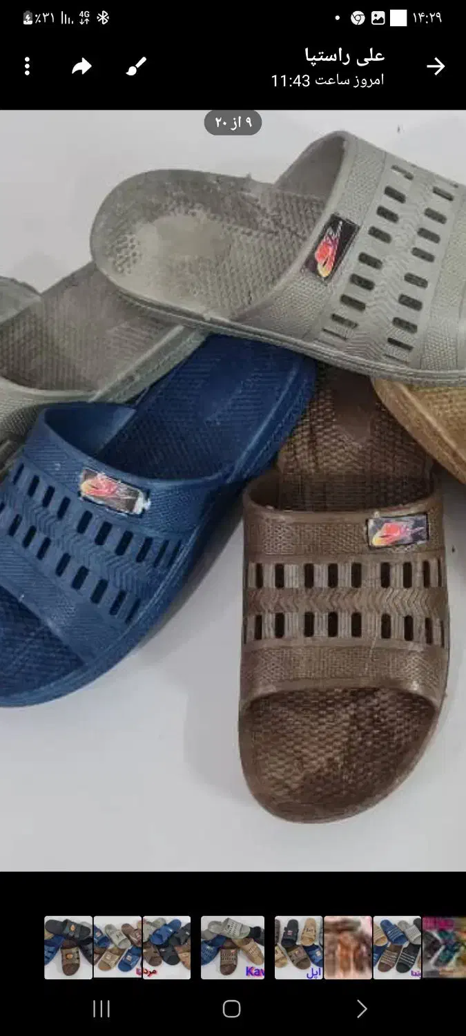 دمپایی ژله ای مردانه زنانه قیمت کلی|کیف، کفش، کمربند|سبزوار, قصبه غربی|دیوار