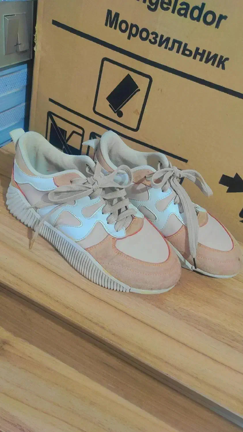 کفش|کیف، کفش، کمربند|گرگان, |دیوار