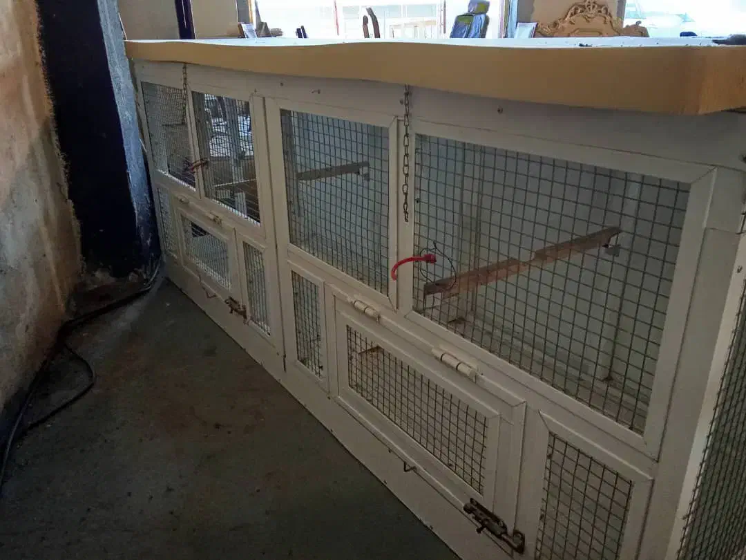 قفس پرنده بزرگ|لوازم جانبی حیوانات|رشت, کوی حسینی|دیوار
