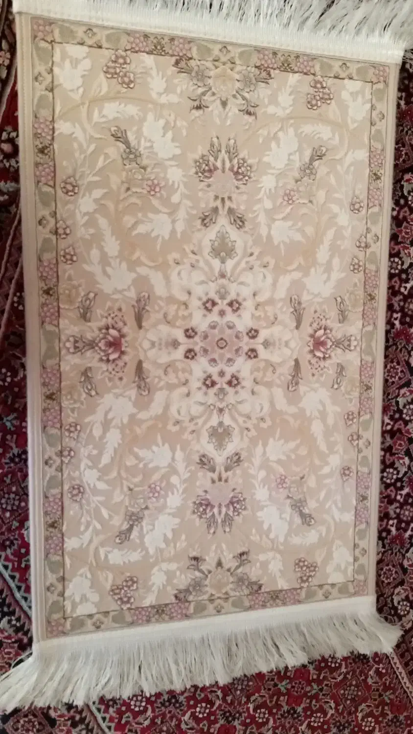 پادری برجسته|پادری|زنجان, |دیوار