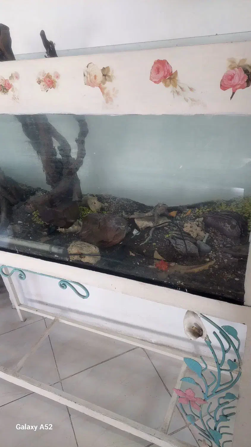 اکواریوم با پایه فرفورژه|ماهی|مشهد, حجاب (شهرک غرب)|دیوار