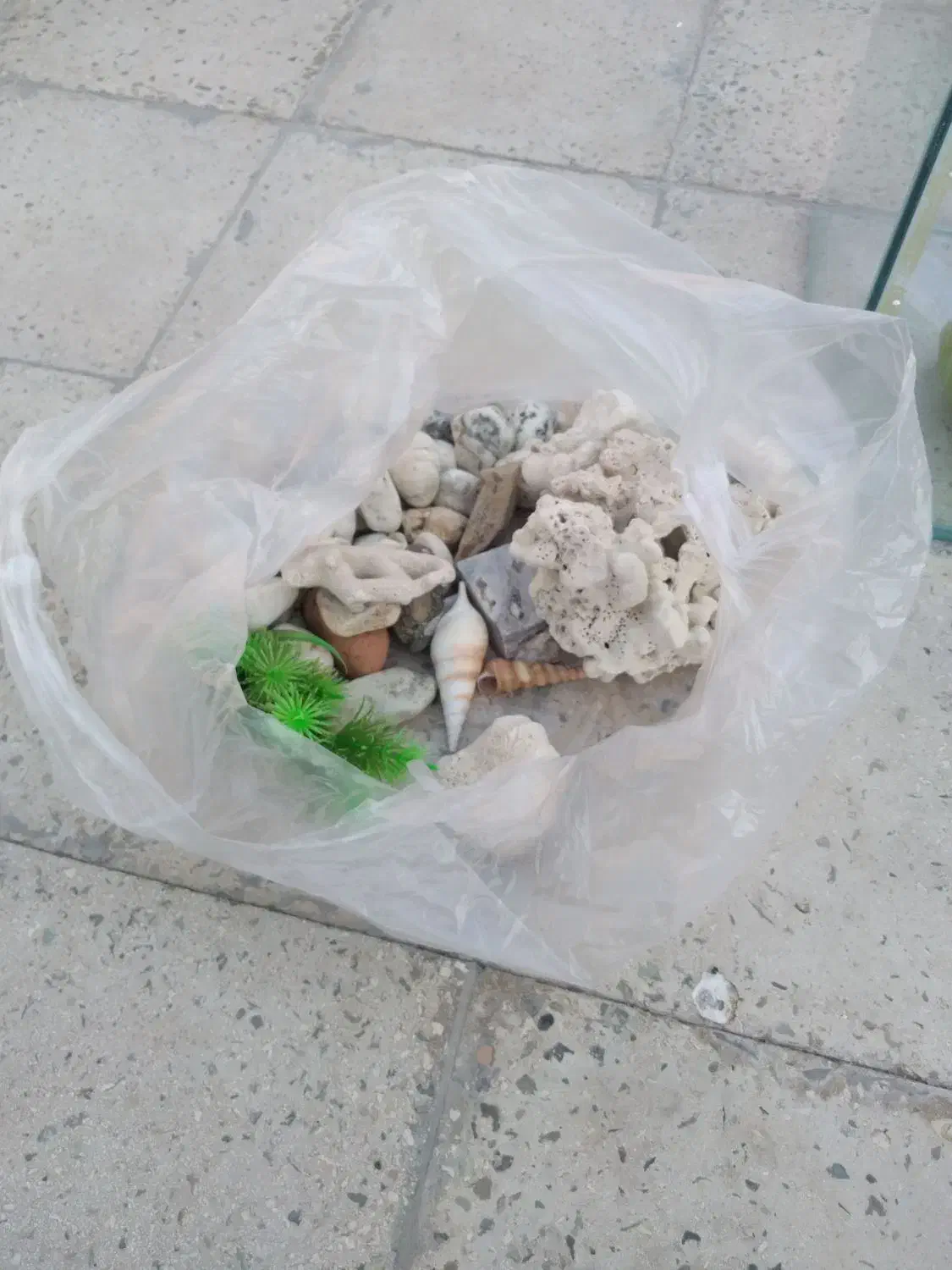 آکواریم|ماهی|کهریزک, |دیوار