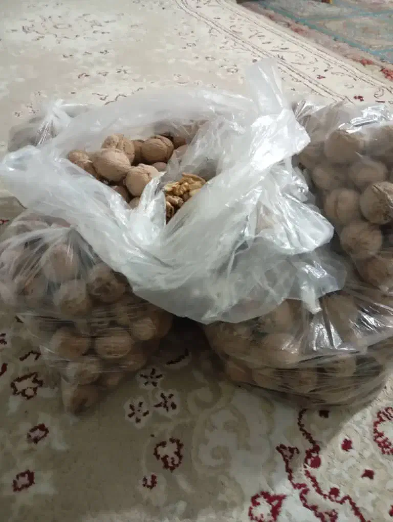 گردو محلی|خوردنی و آشامیدنی|شیراز, گلشن|دیوار