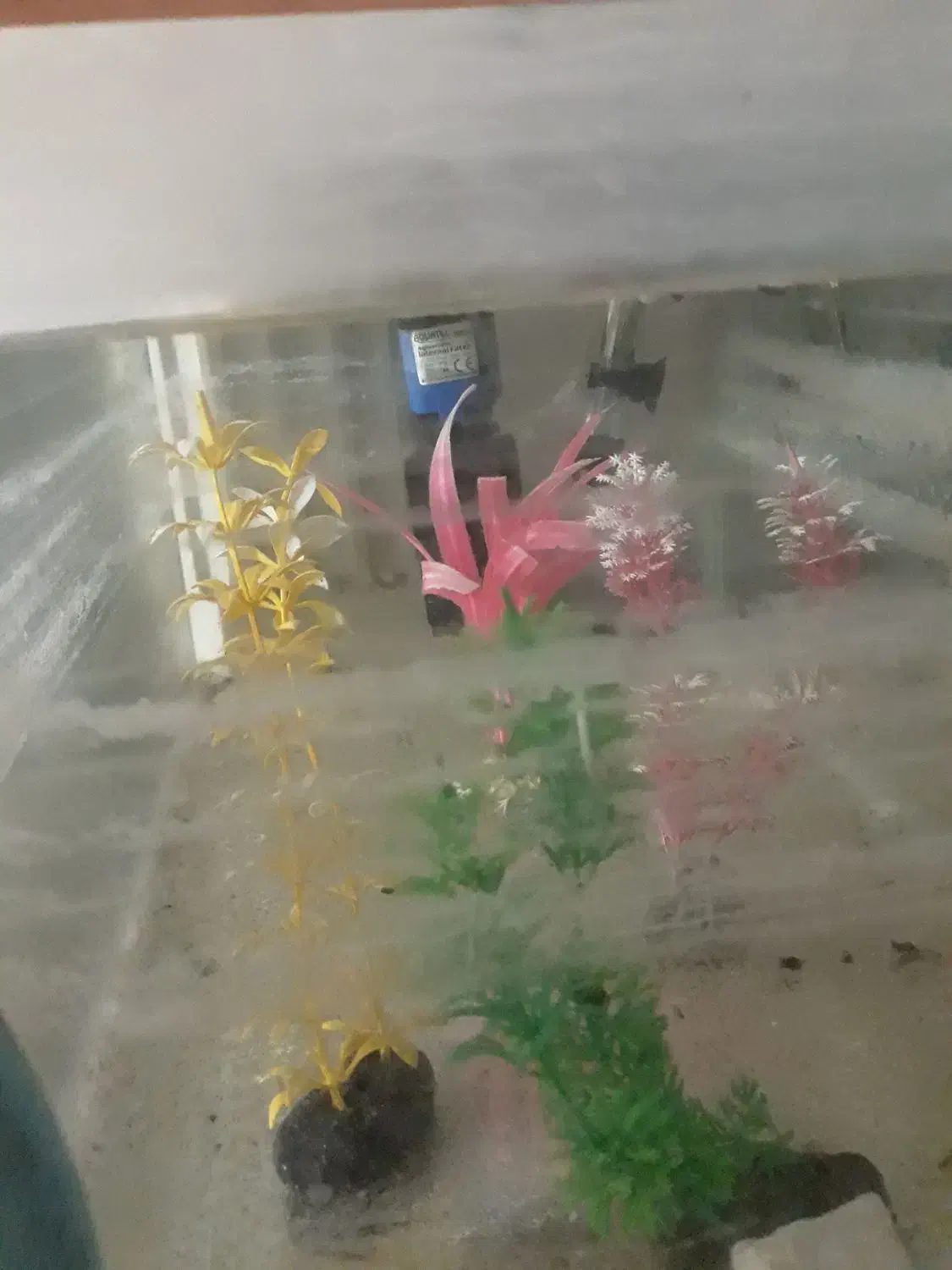 اکواریوم|ماهی|مشهد, کارگران|دیوار