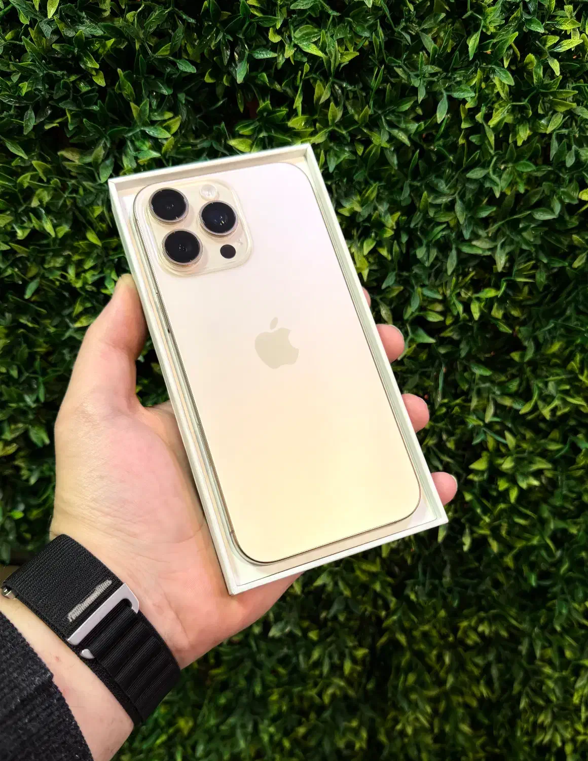 iphone 16 pro/iphone 16 pro max/256G ZAA سنگاپور/|موبایل|تهران, گیشا|دیوار