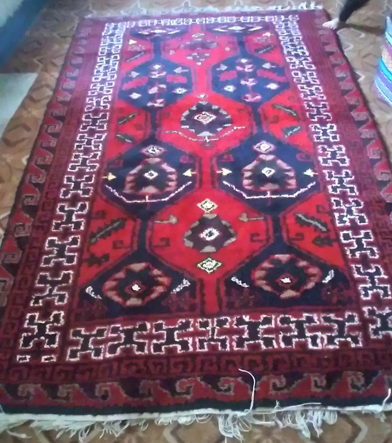 قالی دست بافت محلی|فرش|شوشتر, |دیوار