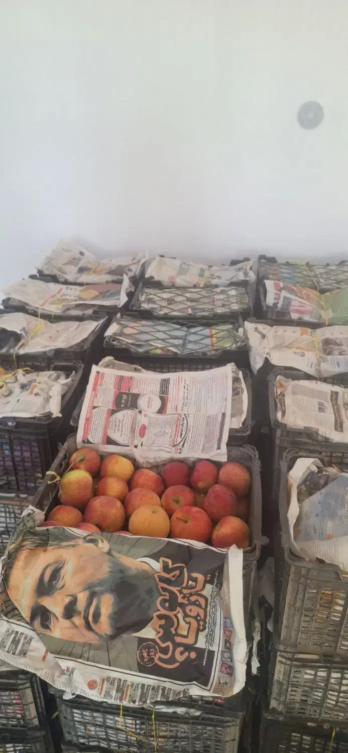 سیب استخوانی|خوردنی و آشامیدنی|قیدار, |دیوار