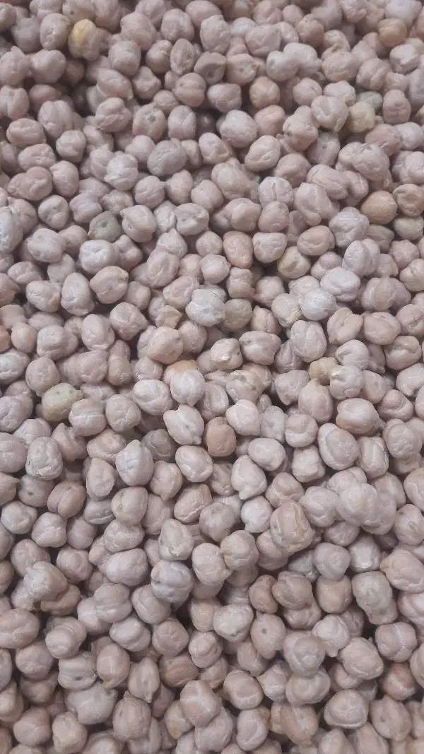 نخود درجه یک|عمده‌فروشی|خوانسار, |دیوار